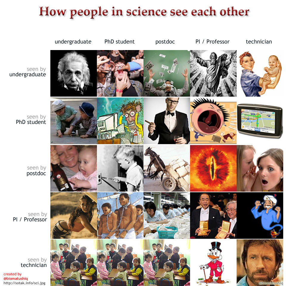 How people in science see each other - Academic hierarchy humor poster